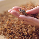 Pyunkang Yul ATO Wash & Shampoo Blue Label 350ml